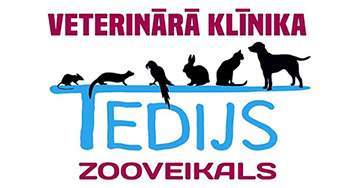 Tedijs